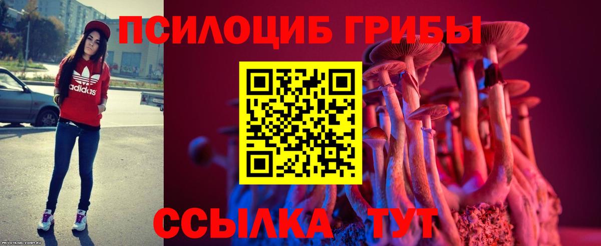 Коммунар  Галлюциногенные грибы Psilocybine cubensis  как найти   Вход с VPN 
